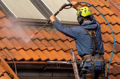 Démoussage et hydrofuge de toiture à Leychert